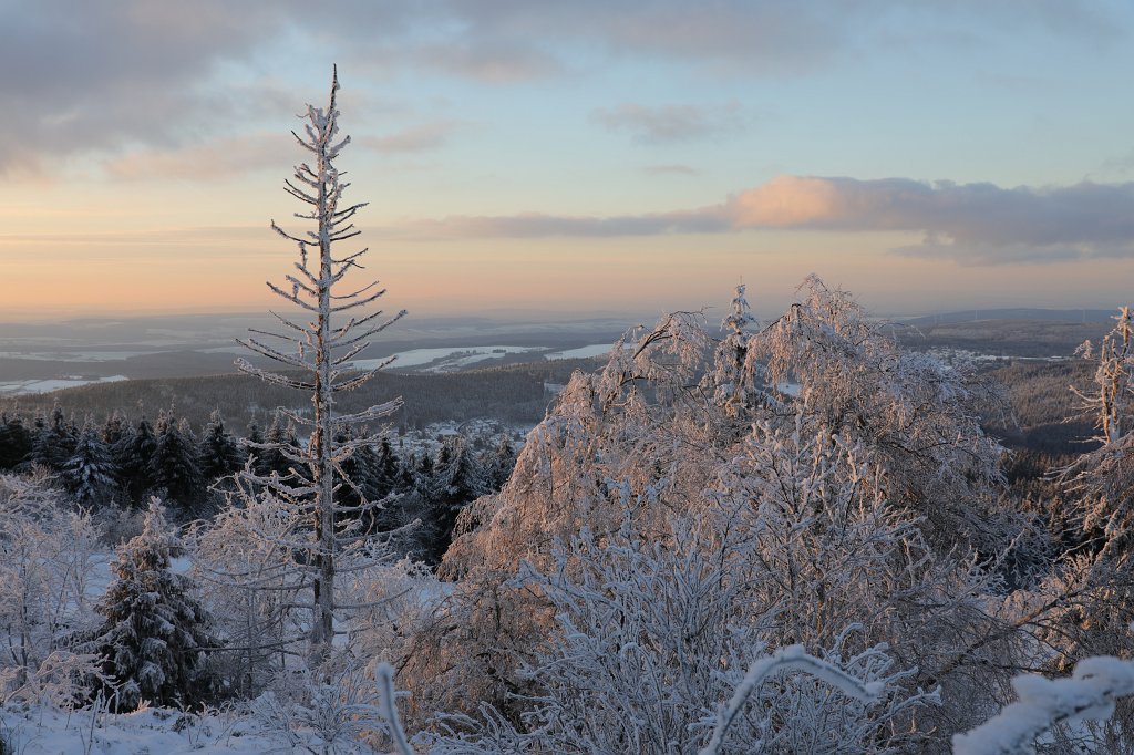 574A0858.JPG -  Feldberg  in Winter