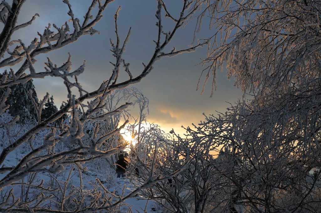 574A0861.JPG -  Feldberg  in Winter