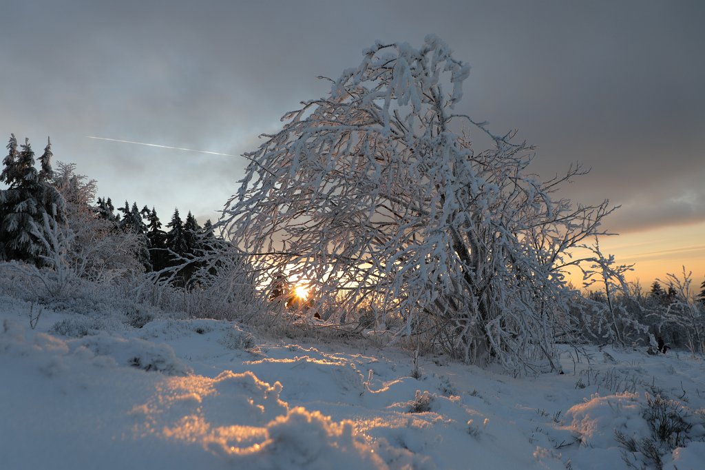 574A0877.JPG -  Feldberg  in Winter