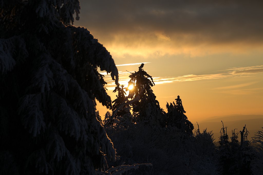 574A0880.JPG -  Feldberg  in Winter