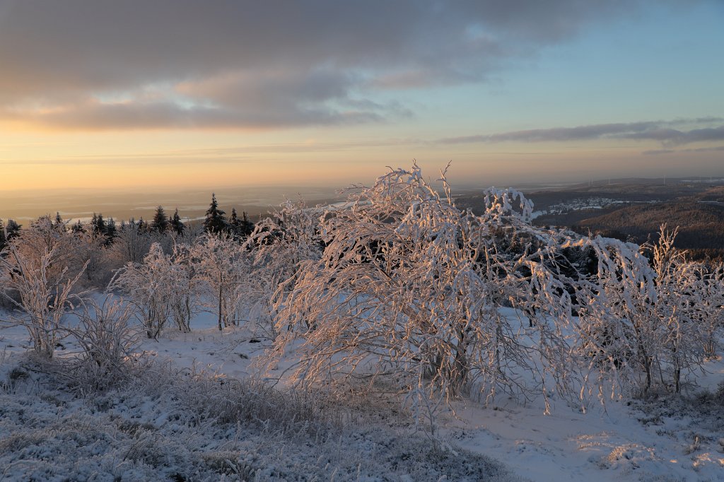 574A0888.JPG -  Feldberg  in Winter