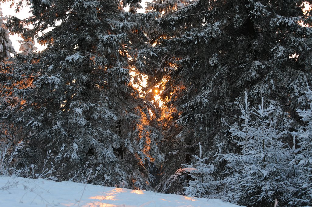 574A0902.JPG -  Feldberg  in Winter