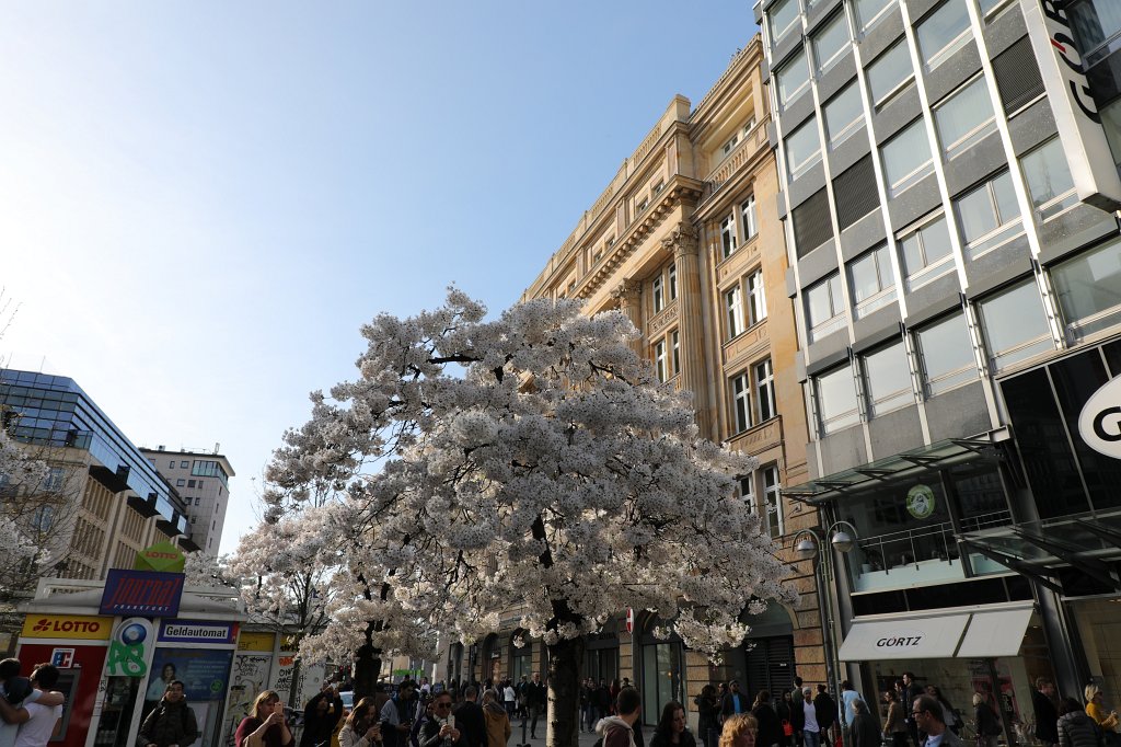 574A3578.JPG - Spring in the city