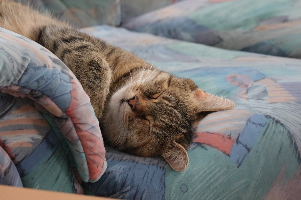 574A3681.JPG - Emily