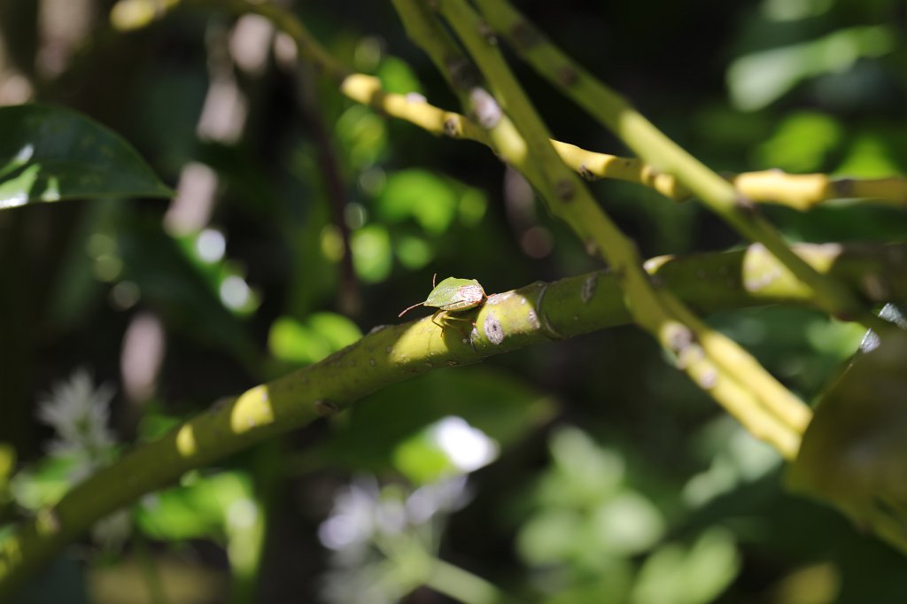 574A5642.JPG - Emily