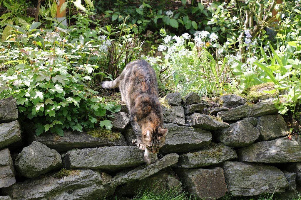 574A5663.JPG - Emily