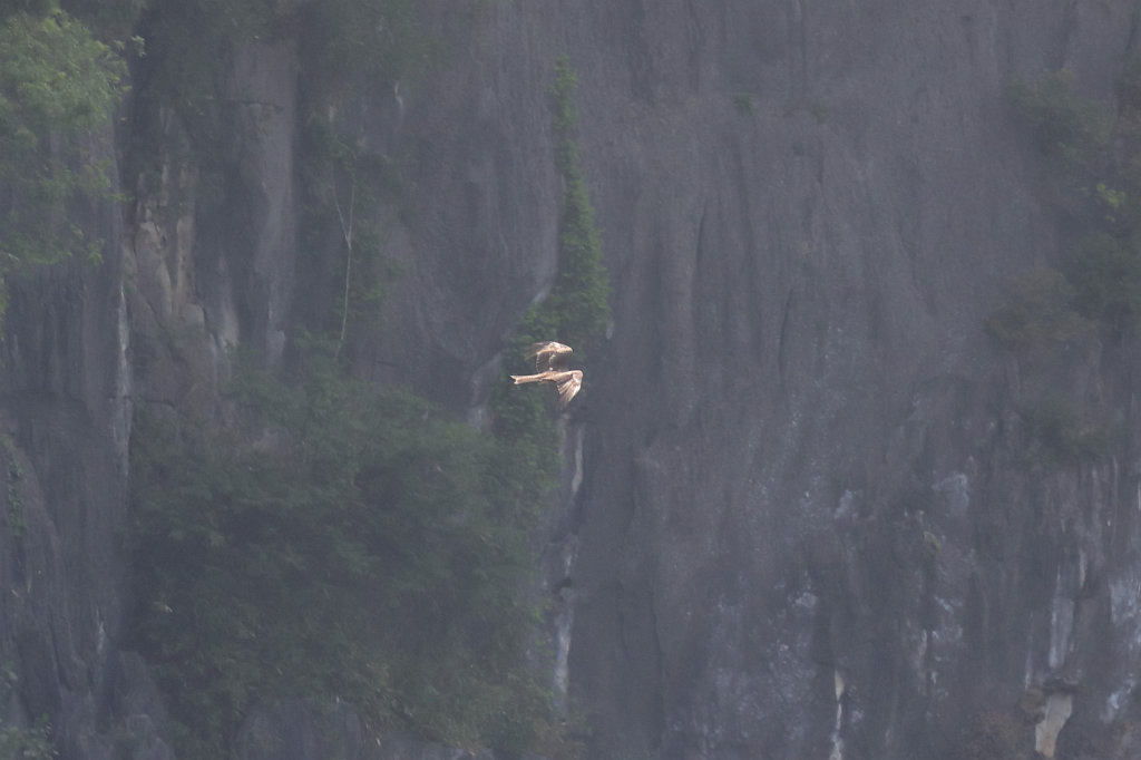 574A6266_c.jpg - Cruising  Hạ Long Bay 