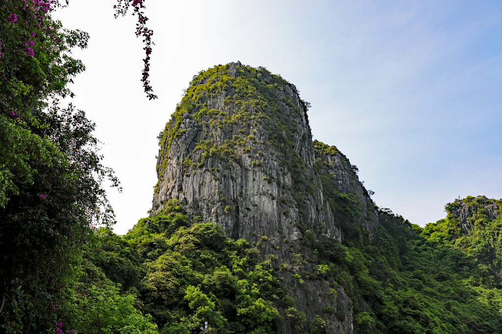 574A6319_c.jpg - Cruising  Hạ Long Bay 