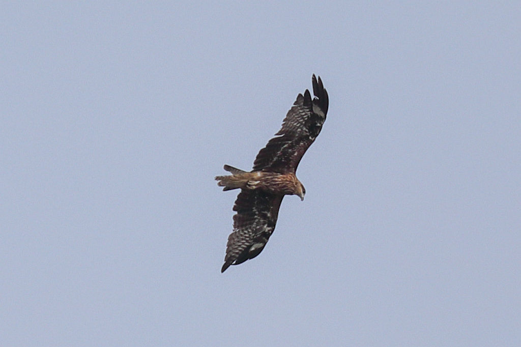 574A6435_c.jpg - Cruising  Hạ Long Bay 