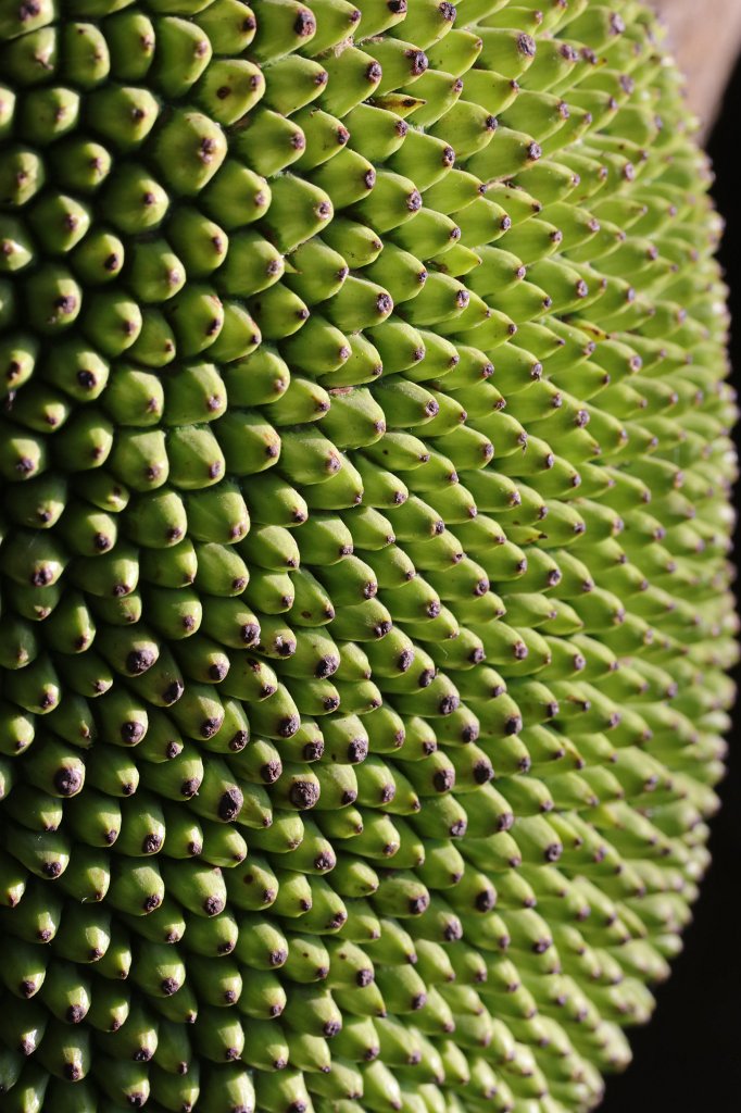 574A6711.JPG -  Vietnam Museum of Ethnology 