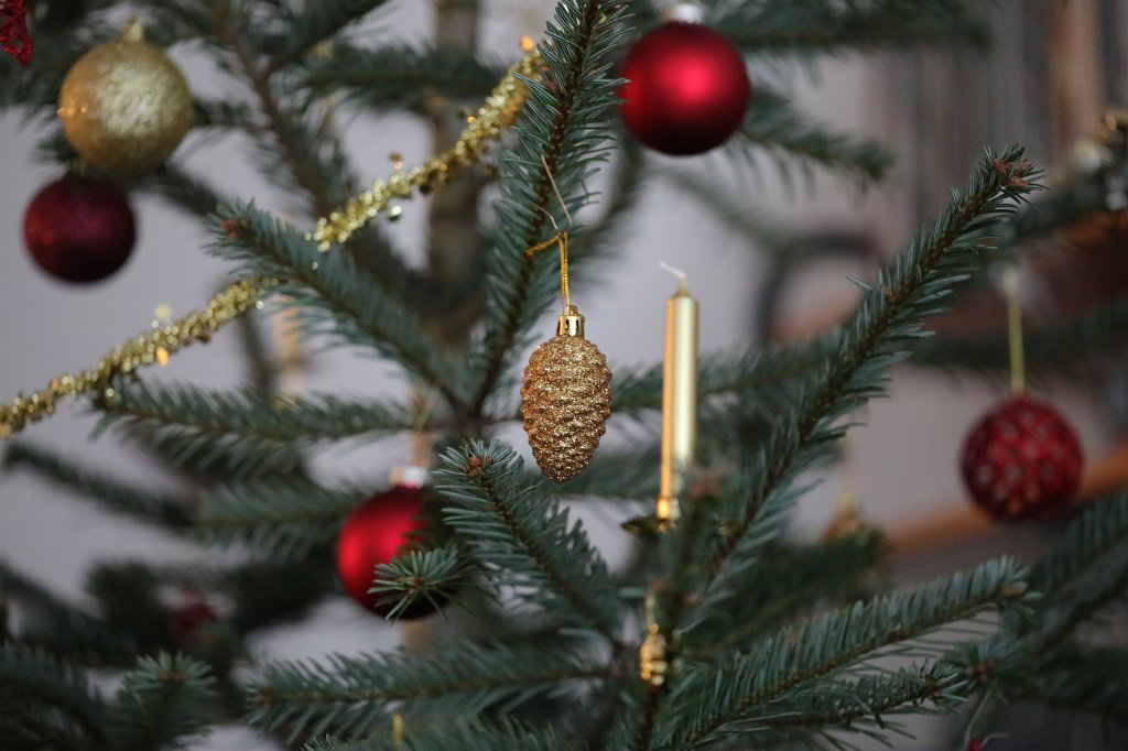 574B0819.JPG - Weihnachtsbaum