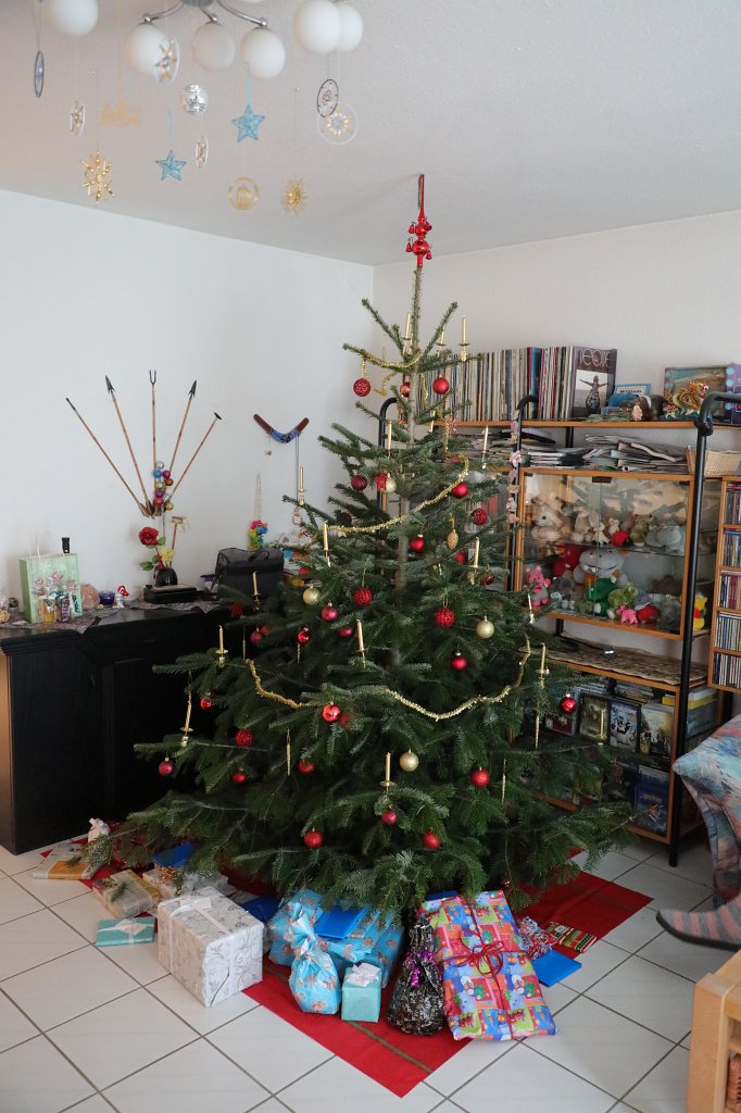 574B0824.JPG - Weihnachtsbaum