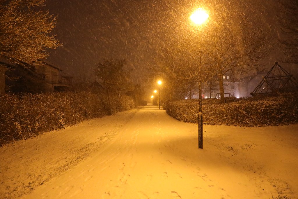 574B0865.JPG - Snowing