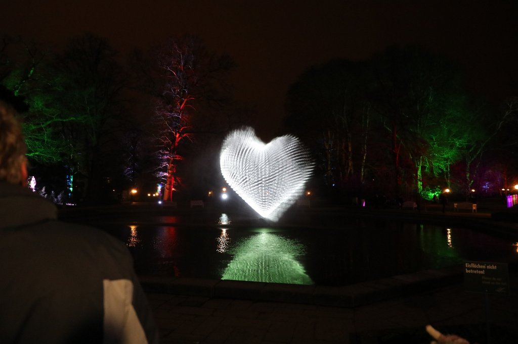 574B0907.JPG - Winterlichter im  Palmengarten 