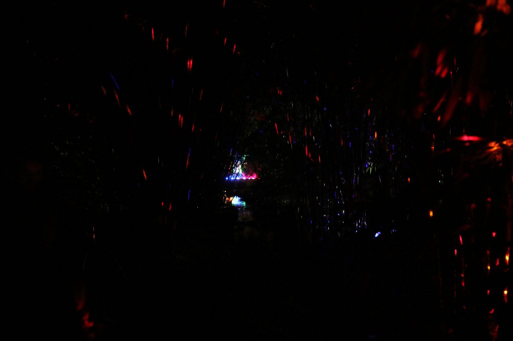 574B0955.JPG - Winterlichter im  Palmengarten 