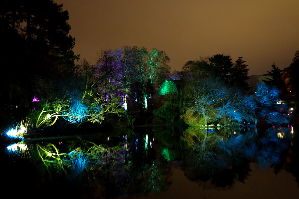 574B0979_c.jpg - Winterlichter im  Palmengarten 
