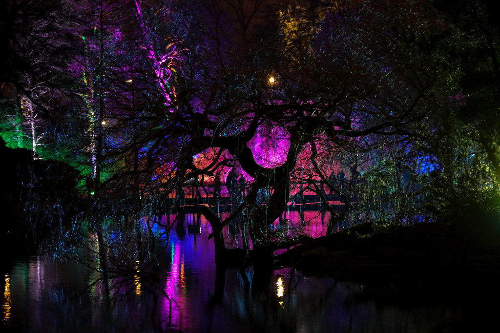 574B0983_c.jpg - Winterlichter im  Palmengarten 