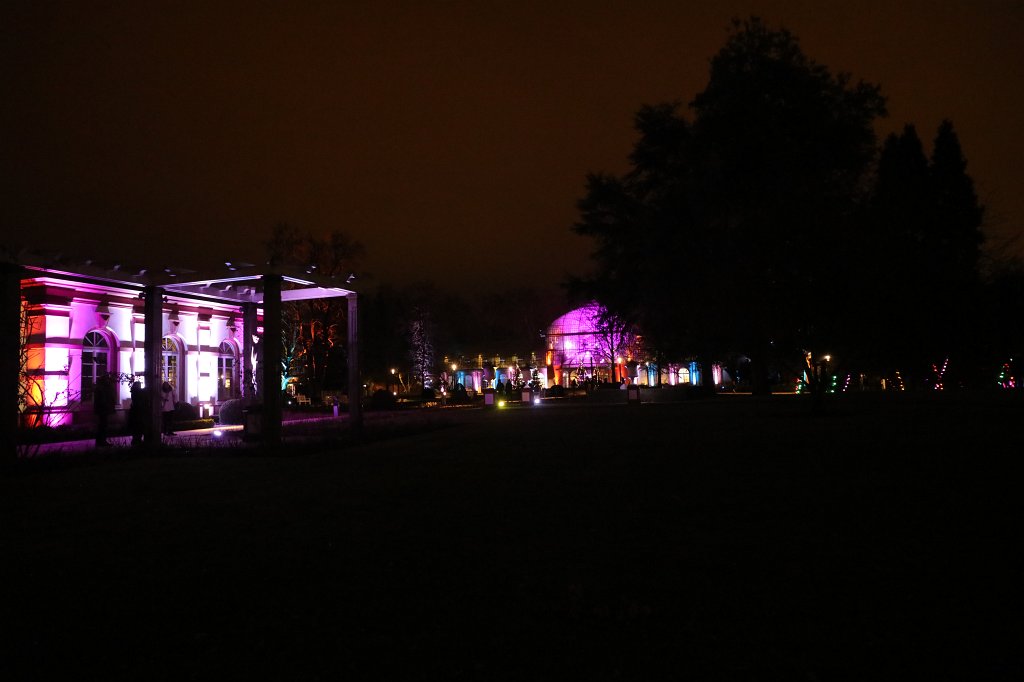 574B0992.JPG - Winterlichter im  Palmengarten 