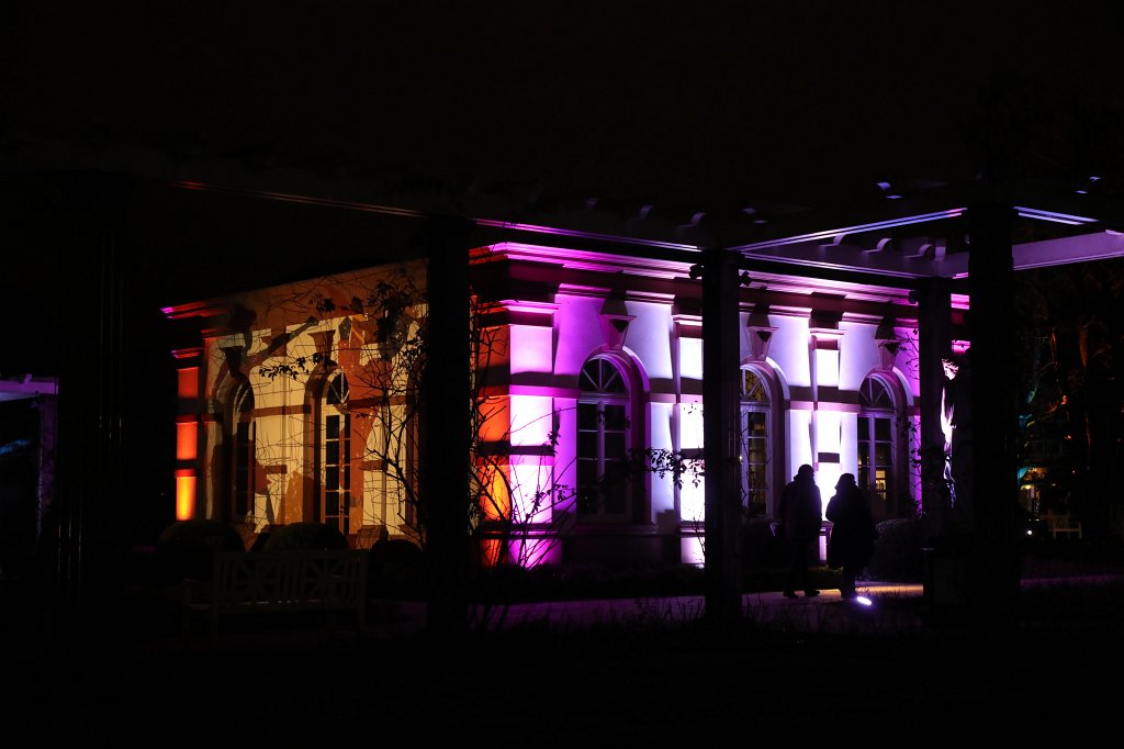 574B0995.JPG - Winterlichter im  Palmengarten 