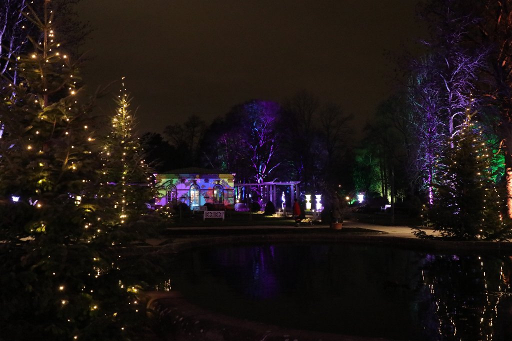 574B1022.JPG - Winterlichter im  Palmengarten 