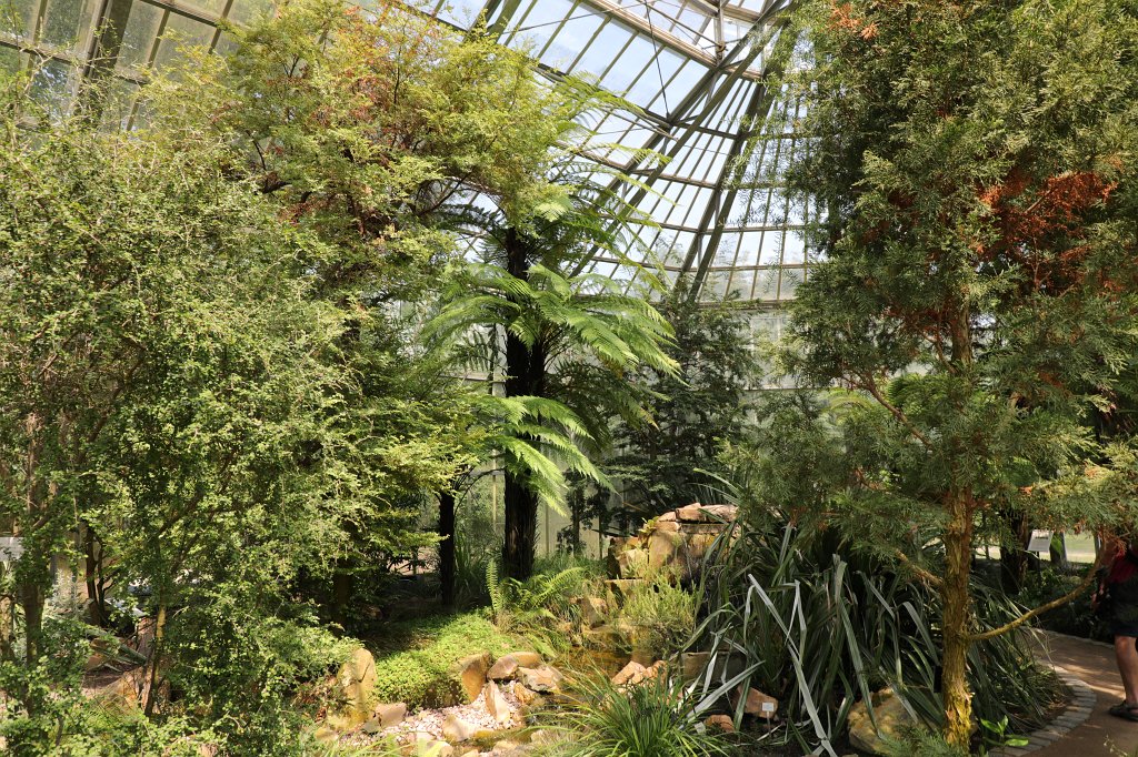 574B4771.JPG - Subantarktishaus im  Palmengarten   Frankfurt 