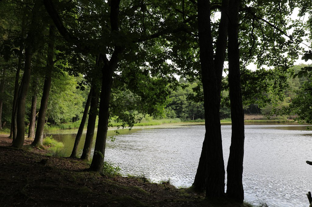 574B5193.JPG - Grünwiesenweiher