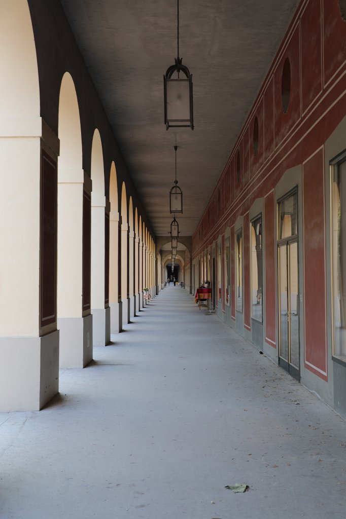 574B5521.JPG -  Hofgarten   Munich  ( Hofgarten   München )