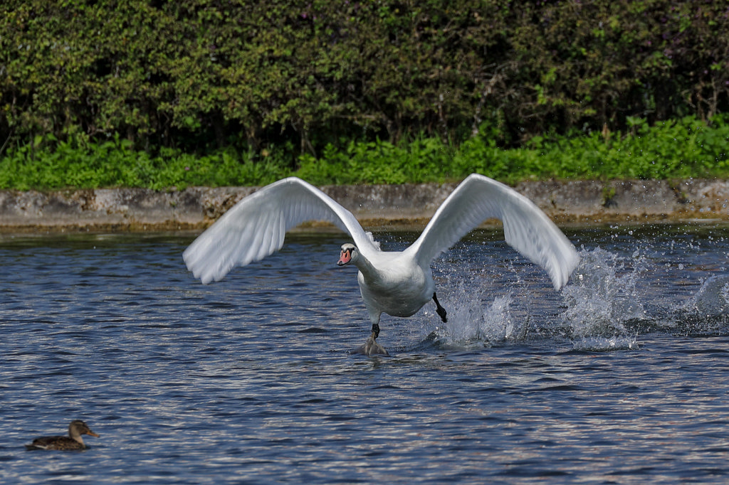 574B5556_c1.jpg -  Nymphenburg Palace  in  Munich 