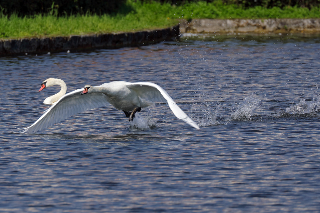 574B5559_c.jpg -  Nymphenburg Palace  in  Munich 