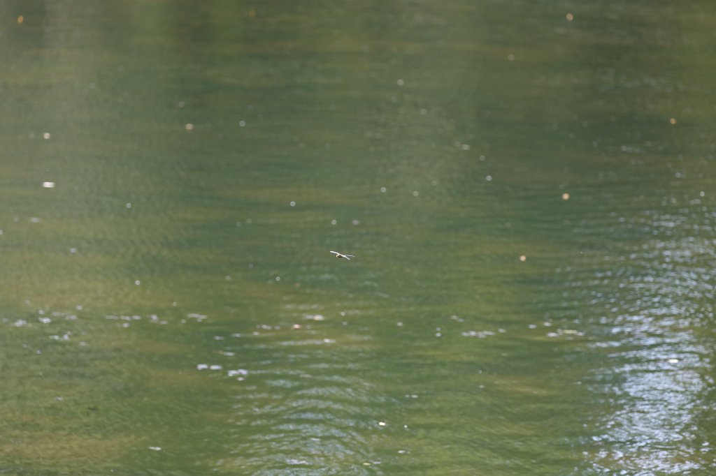 574B5723.JPG -  Nymphenburg Palace  Park in  Munich 