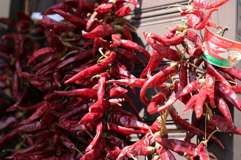 574B6700.JPG -  Szentendre 