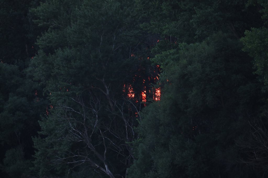 574B7210.JPG - Sun behind trees