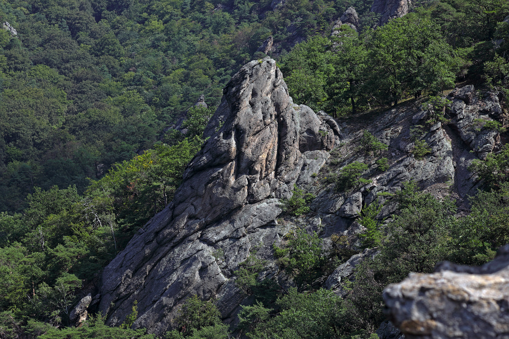 574B7241_c.jpg -  Wachau  ( Wachau )