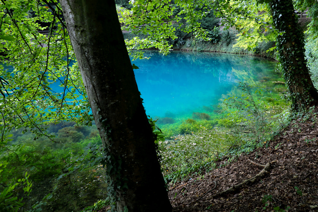 574B7499_c.jpg -  Blue pot  ( Blautopf )
