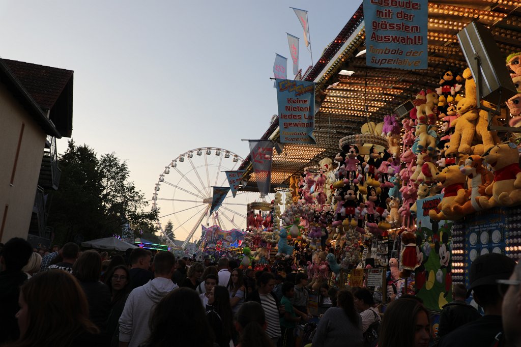 574B7587.JPG -  Bad Homburger   Laternenfest  2018