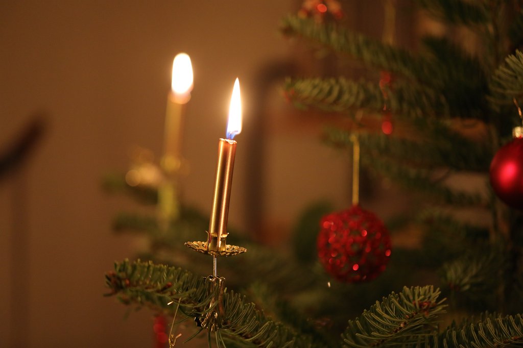 574B8179.JPG - Christmas tree 2018