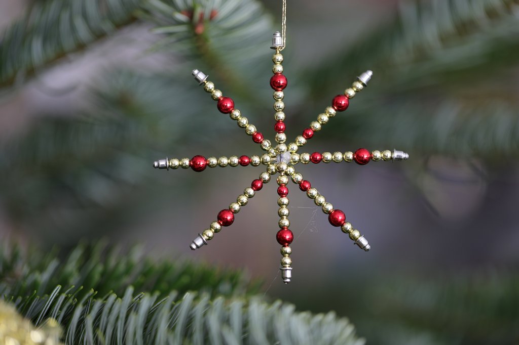574B8189.JPG - Weihnachtsbaum 2018