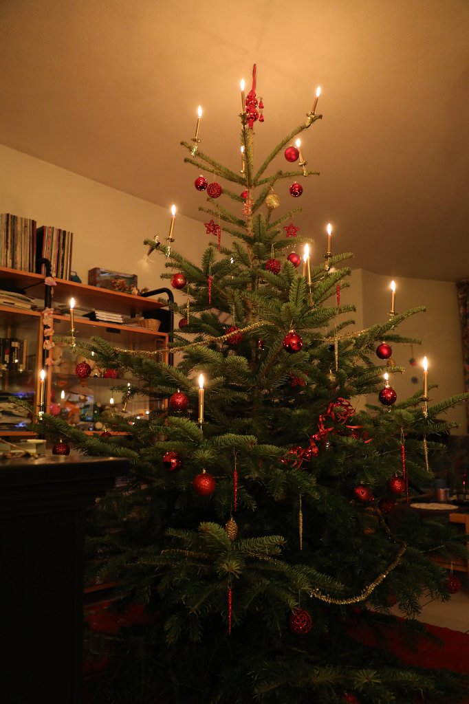 574B8199.JPG - Weihnachtsbaum 2018