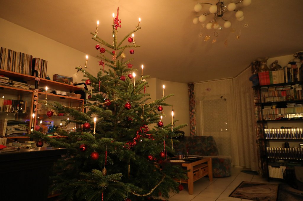 574B8200.JPG - Weihnachtsbaum 2018
