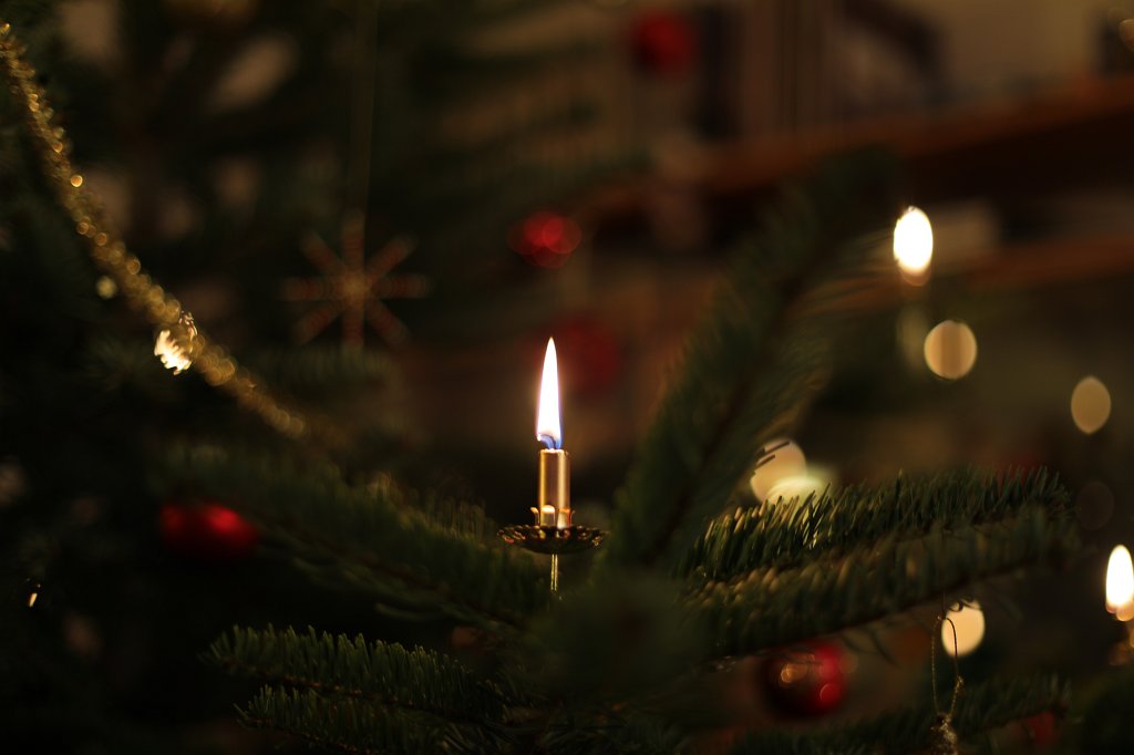 574B8201.JPG - Weihnachtsbaum 2018