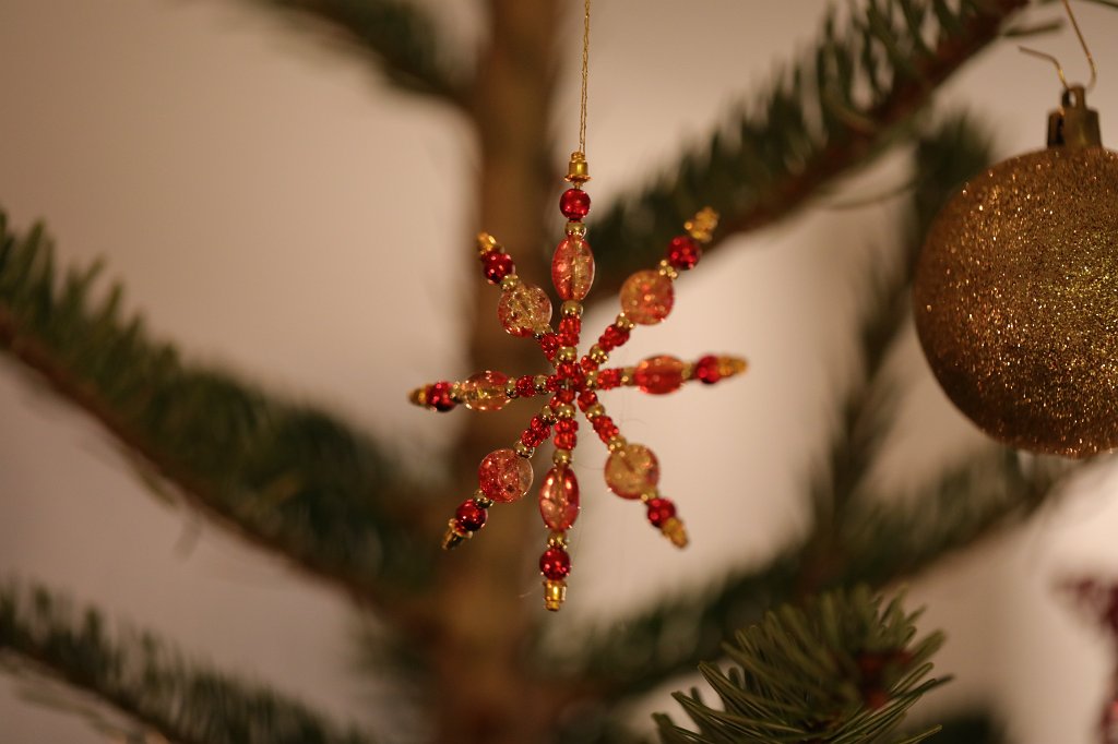 574B8204.JPG - Weihnachtsbaum 2018