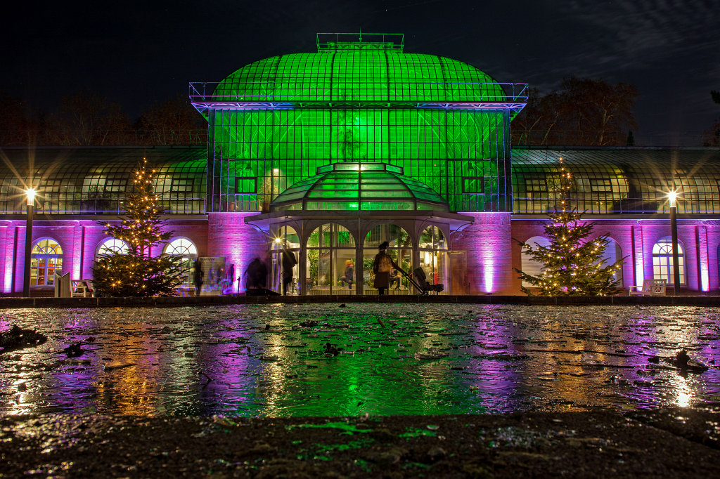 574B8446_c.jpg -  Palmengarten  Winterlichter 2018/2019