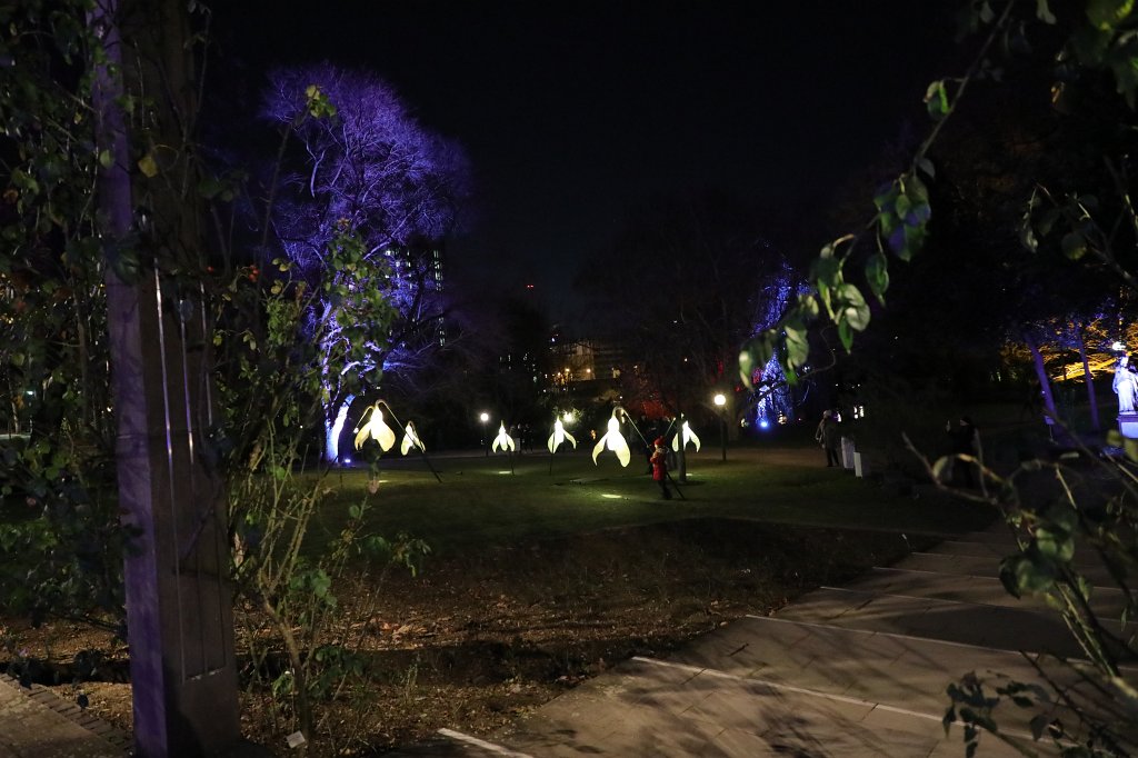 574B8463.JPG -  Palmengarten  Winterlichter 2018/2019