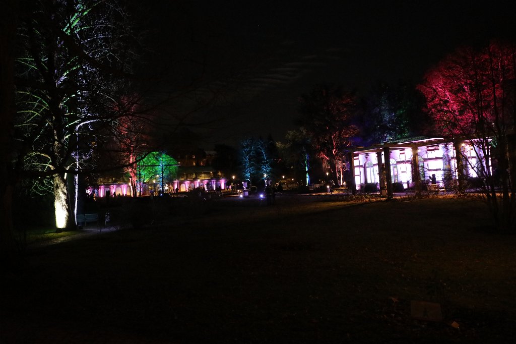 574B8468.JPG -  Palmengarten  Winterlichter 2018/2019