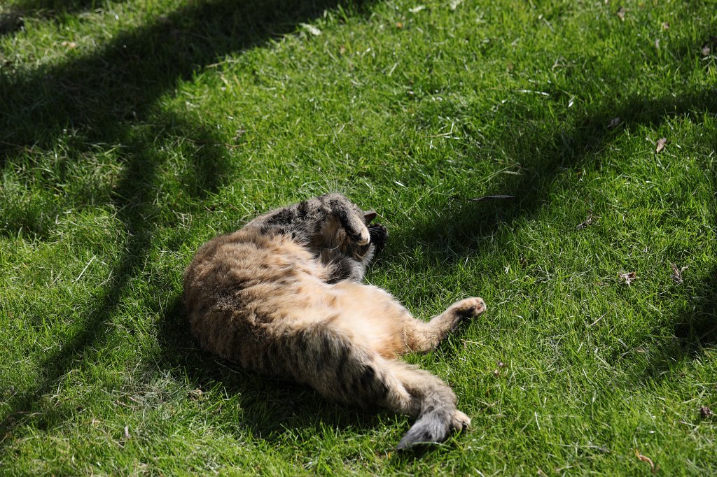 574B9479.JPG - Emily enjoying the sun