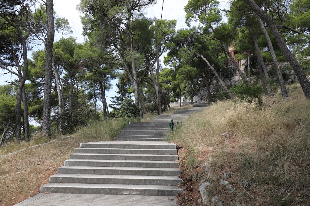 574B2557.jpg -  Marjan 