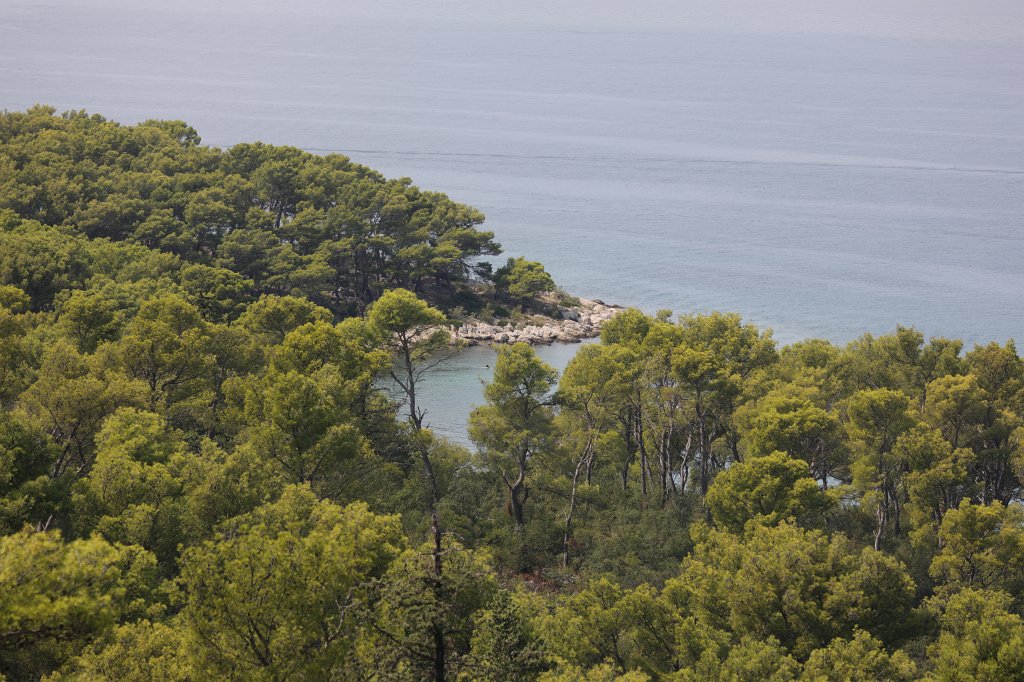 574B2627.jpg -  Marjan 