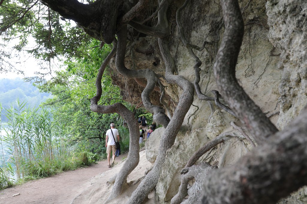 574B2758.jpg -  Plitvice Lakes National Park 