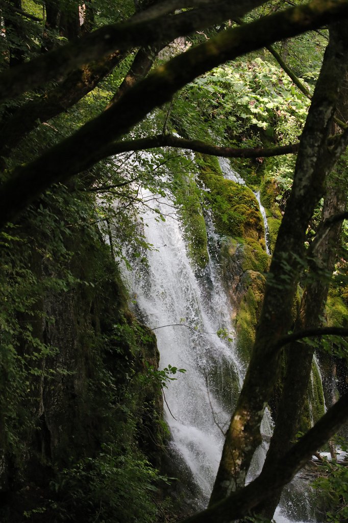 574B2855.jpg -  Plitvice Lakes National Park 