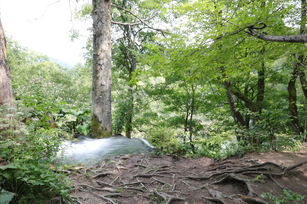 574B2864.jpg -  Plitvice Lakes National Park 